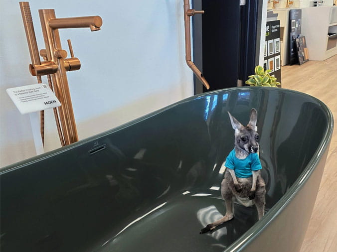 Facets of Hill County mascott, kangaroo in bathtub